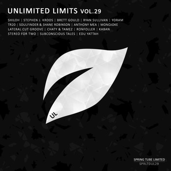 Various Artists - Unlimited Limits, Vol.29