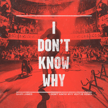Gavin James - I Don't Know Why (Vertue Remix) (Radio Edit)