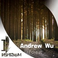 Andrew Wu - Forest