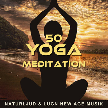 Various Artists - 50 Yoga Meditation