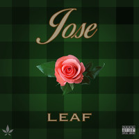 Leaf - Jose