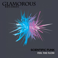 Scientific Funk - Feel The Flow