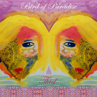 Bird of Paradise - Thief