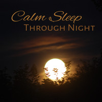 Deep Dreams - Calm Sleep Through Night – Soothing Waves to Calm Down, Sleep All Night, Dreaming Hours
