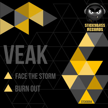 Veak - Face the Storm / Burn Out