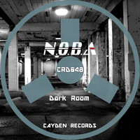 Noba - Dark Room