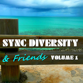 Various Artists - Sync Diversity & Friends, Vol. 1