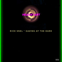Rick Snel - Gazing at the Dark