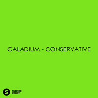 Caladium - Conservative