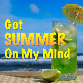 Various Artists - Got Summer On My Mind