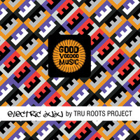 Tru Roots Project - Electric Juju