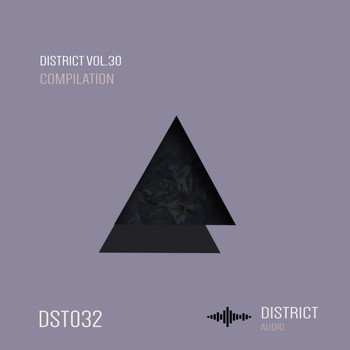 Various Artists - District 30