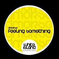 DMorse - Feeling Something
