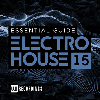 Various Artists - Essential Guide: Electro House, Vol. 15