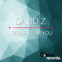David Z - Fallen For You
