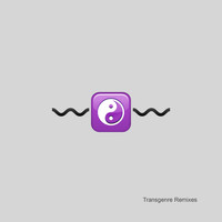 Aylu - Transgenre Remixes