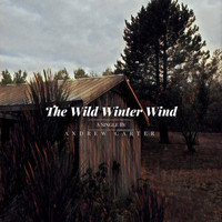 Andrew Carter - The Wild Winter Wind