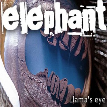 Elephant - Llama's Eye (Explicit)