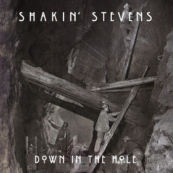 Shakin' Stevens - Down in the Hole (Radio Mix)