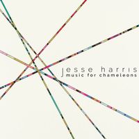 Jesse Harris - Music for Chameleons