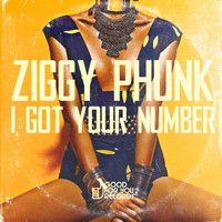 Ziggy Phunk - I Got Your Number