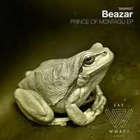 Beazar - Prince Of Montagu EP