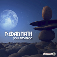 Kedarnath - Soul Dimension