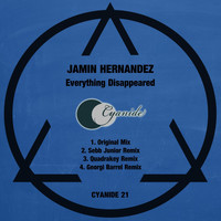 Jamin Hernandez - Everything Disappeared