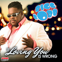 Bigg Robb - If Loving You Is Wrong (I Don't Want to Be Right)