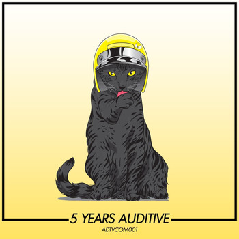 Various Artists - 5 Years Auditive