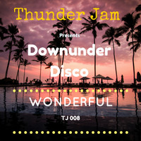Downunder Disco - Wonderful