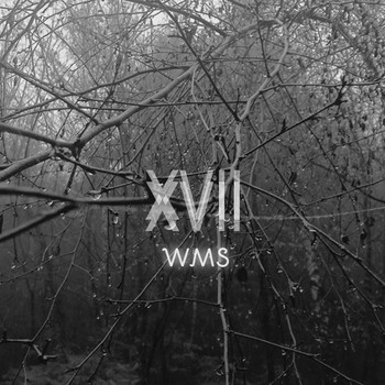 Various Artists - WMS - XVII