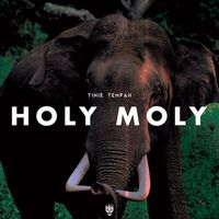 Tinie Tempah - Holy Moly (Explicit)