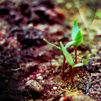 Various Artists - Foundations