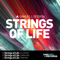Samuel L Session - Strings Of Life 2015