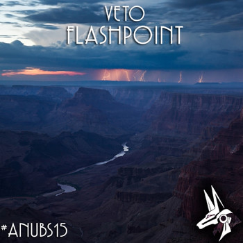 Veto - Flashpoint