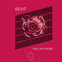 Sevit - The Last Rose