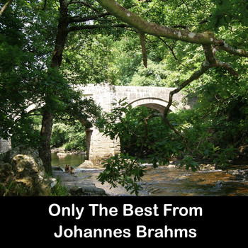Johannes Brahms - Only The Best From Johannes Brahms