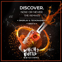 DiscoVer. - Now Or Never: The Remixes