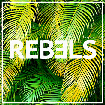 Various Artists - Tech House Rebels