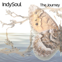 Indysoul - The Journey