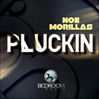 Noe Morillas - Pluckin