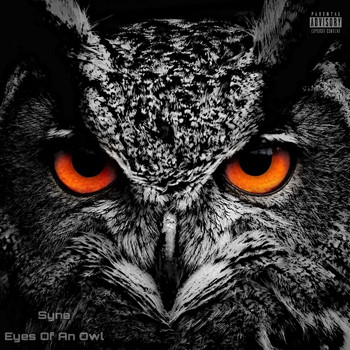 Syne - Eyes Of An Owl