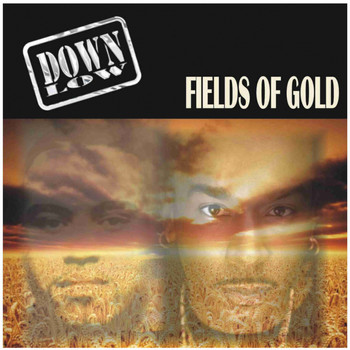 Down Low - Fields of Gold