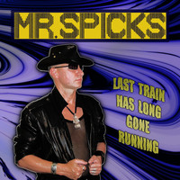 Mr. Spicks - Last Train Has Long Gone Running