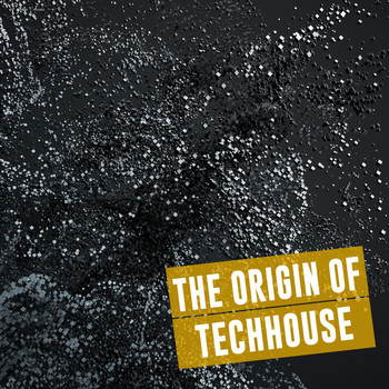 Various Artists - The Origin of Techhouse