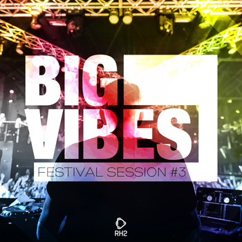 Various Artists - Big Vibes - Festival Session #3