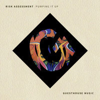 Risk Assessment - Pumping It Up