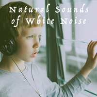 White Noise Research, White Noise Therapy and Nature Sound Collection - Natural Sounds of White Noise