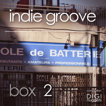 Various Artists - Indie Groove Box, Vol. 2